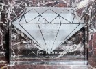 27 GEM Award Winners receive Crystals by Tiffany   Co.